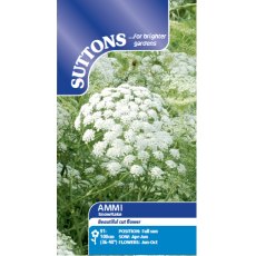 Suttons Ammi Snowflake Seeds