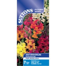 Suttons Antirrhinum Illumination Mix Seeds