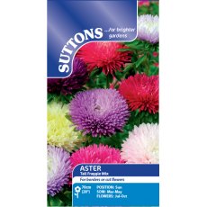 Suttons Aster Tall Fraggle Mix Seeds