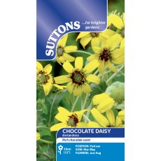 Suttons Berlandiera Chocolate Daisy Seeds