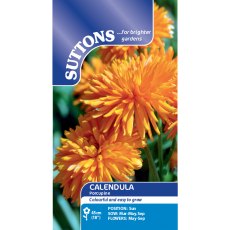 Suttons Calendula Porcupine Seeds