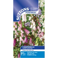 Suttons Campanula Cottage Garden Mix Seeds