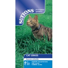 Suttons Cat's Grass Seeds