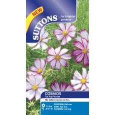 Suttons Cosmos Tip Top Picotee Seeds