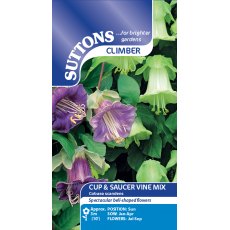 Suttons Cup & Saucer Plant Seeds