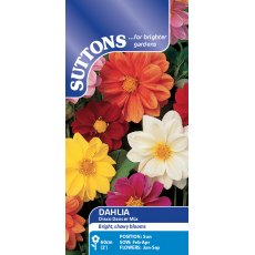 Suttons Dahlia Disco Dancer Mix Seeds