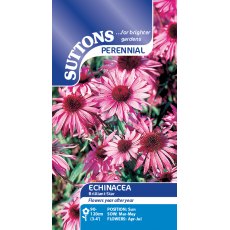 Suttons Echinacea Brilliant Star Seeds