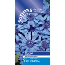 Suttons Felicia Pretty Blue Seeds