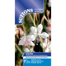 Suttons Guara The Bride Seeds