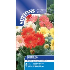 Suttons Gerbera Cut Flower Mix Seeds