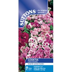 Suttons Godetia Little Frills Mix Seeds