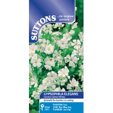 Suttons Gypsophila Elegans Covent Garden White Seeds