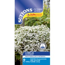 Suttons Lobelia Cascade White Seeds