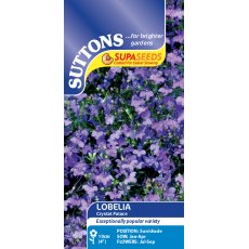 Suttons Lobelia Crystal Palace Seeds