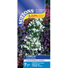 Suttons Lobelia String Of Pearls Seeds