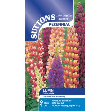 Suttons Lupin Gallery Mix Seeds