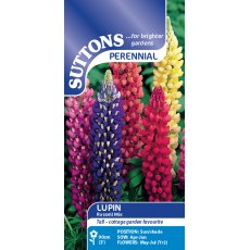 Suttons Lupin Russell Mix Seeds