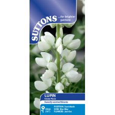 Suttons Lupin Snow Pixie Seeds