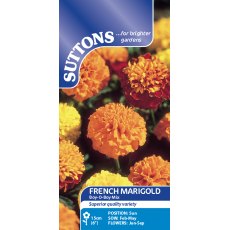 Suttons French Marigold Boy-O-Boy Mix Seeds