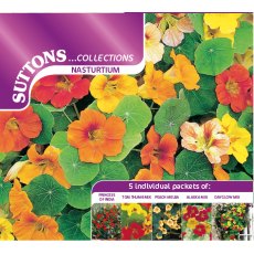 Suttons Nasturtium Collection Of Seeds