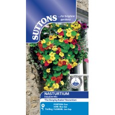 Suttons Nasturtium Dayglow Mix Seeds