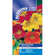 Suttons Nasturtium Jewel Of Africa Mix Seeds