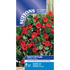 Suttons Nasturtium Princess Of India Seeds