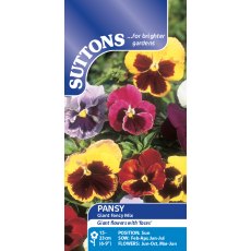 Suttons Pansy Giant Fancy Mix Seeds