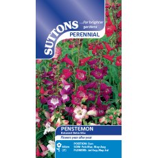 Suttons Penstemon Beloved Bells Mix Seeds