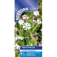 Suttons Night Phlox Seeds