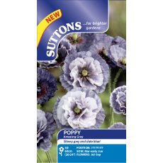 Suttons Poppy Amazing Grey Seeds