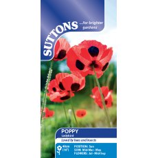 Suttons Poppy Ladybird Seeds