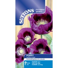 Suttons Poppy Lauren's Grape Seeds