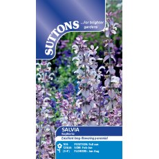 Suttons Salvia Euphoria Seeds