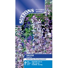 Suttons Salvia Euphoria Seeds