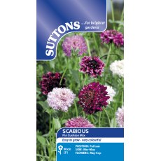Suttons Scabious Pin Cushion Mix Seeds