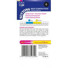 Suttons Night Scented Stock Evening Fragrance Seeds