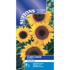 Suttons Sunflower F1 Full Sun Seeds
