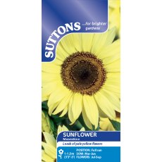 Suttons Sunflower Moonshine Seeds