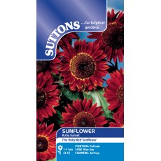 Suttons Sunflower Ruby Sunset Seeds