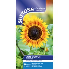 Suttons Sunflower F1 Tiger Eye Seeds