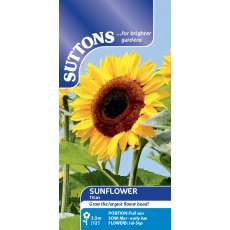 Suttons Sunflower Titan Seeds