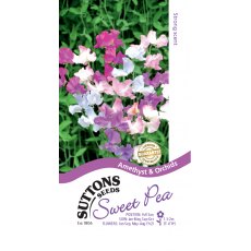 Suttons Sweet Pea Amethyst & Orchids Seeds
