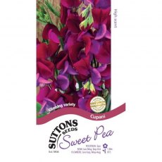 Suttons Sweet Pea Cupani Seeds