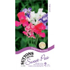 Suttons Sweet Pea Fragrant Boundary Seeds