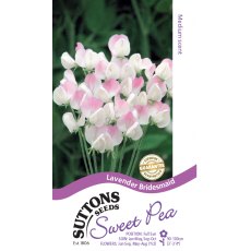 Suttons Sweet Pea Lavender Bridesmaid