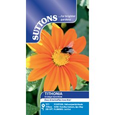 Suttons Tithonia Orange Sunshine Seeds