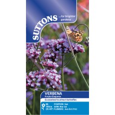 Suttons Verbena Purple Elegance Seeds