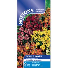 Suttons Wallflower Persian Carpet Mix Seeds