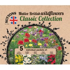 Suttons Native British Wildflowers Classic Collection Seeds